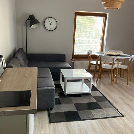 Апартаменты Apartament W Parku Planty Эльблонг Экстерьер фото