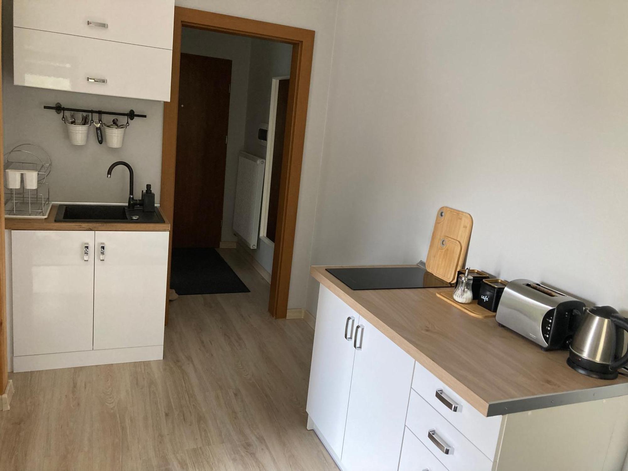 Апартаменты Apartament W Parku Planty Эльблонг Экстерьер фото